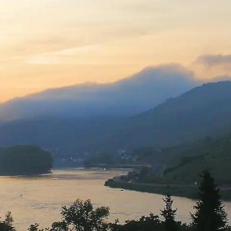 Wunderschoene Aussicht Garantiert Trechtingshausen Extérieur photo