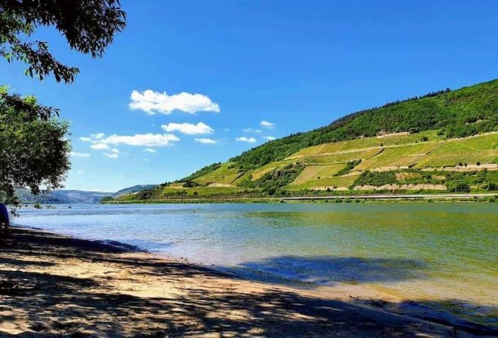Wunderschoene Aussicht Garantiert Trechtingshausen Extérieur photo