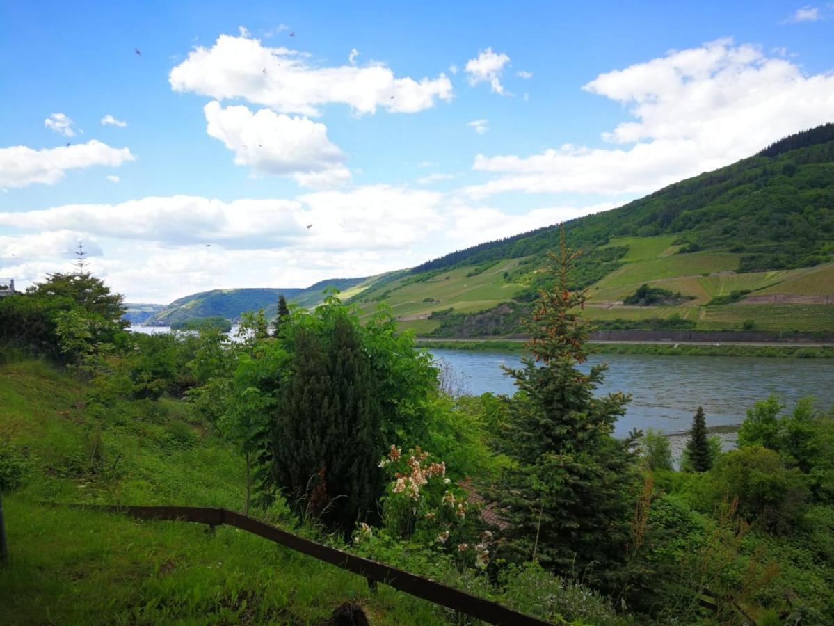 Wunderschoene Aussicht Garantiert Trechtingshausen Extérieur photo