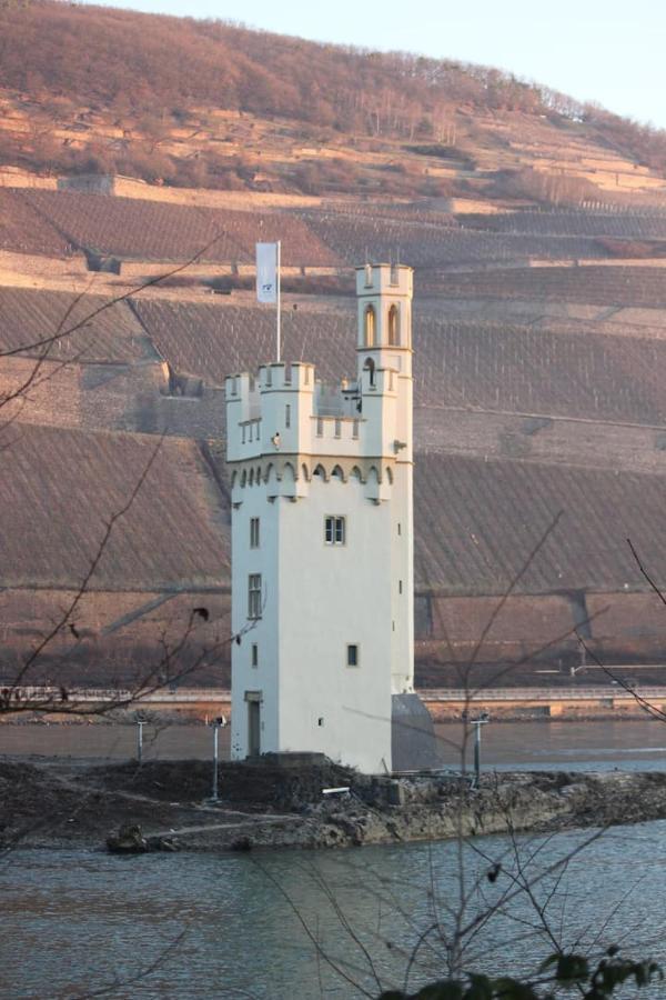 Wunderschoene Aussicht Garantiert Trechtingshausen Extérieur photo