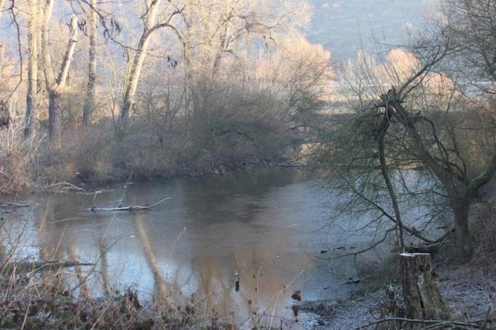 Wunderschoene Aussicht Garantiert Trechtingshausen Extérieur photo
