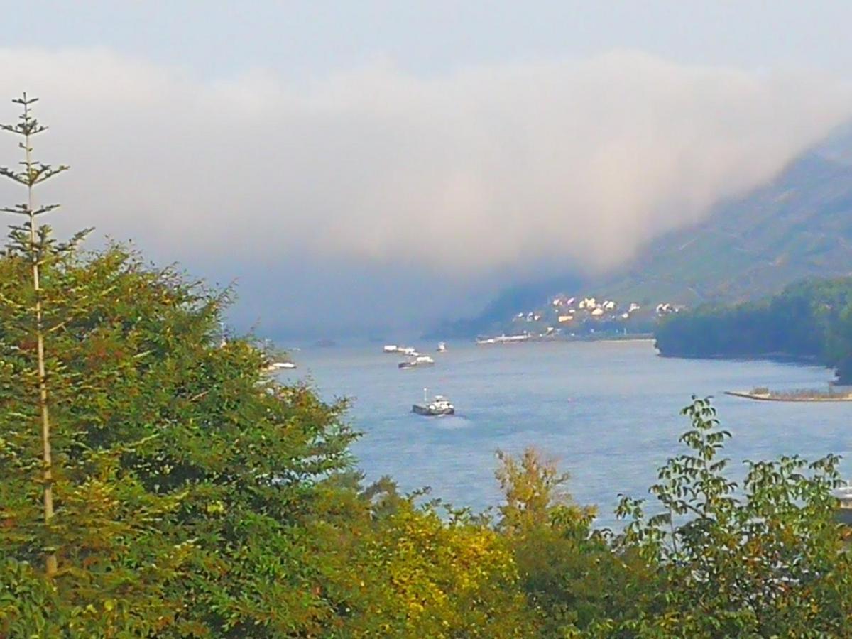 Wunderschoene Aussicht Garantiert Trechtingshausen Extérieur photo