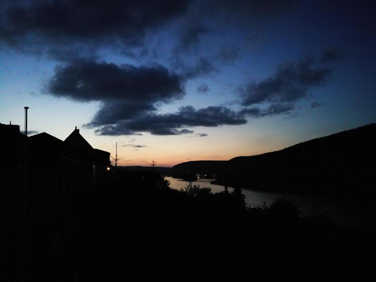 Wunderschoene Aussicht Garantiert Trechtingshausen Extérieur photo