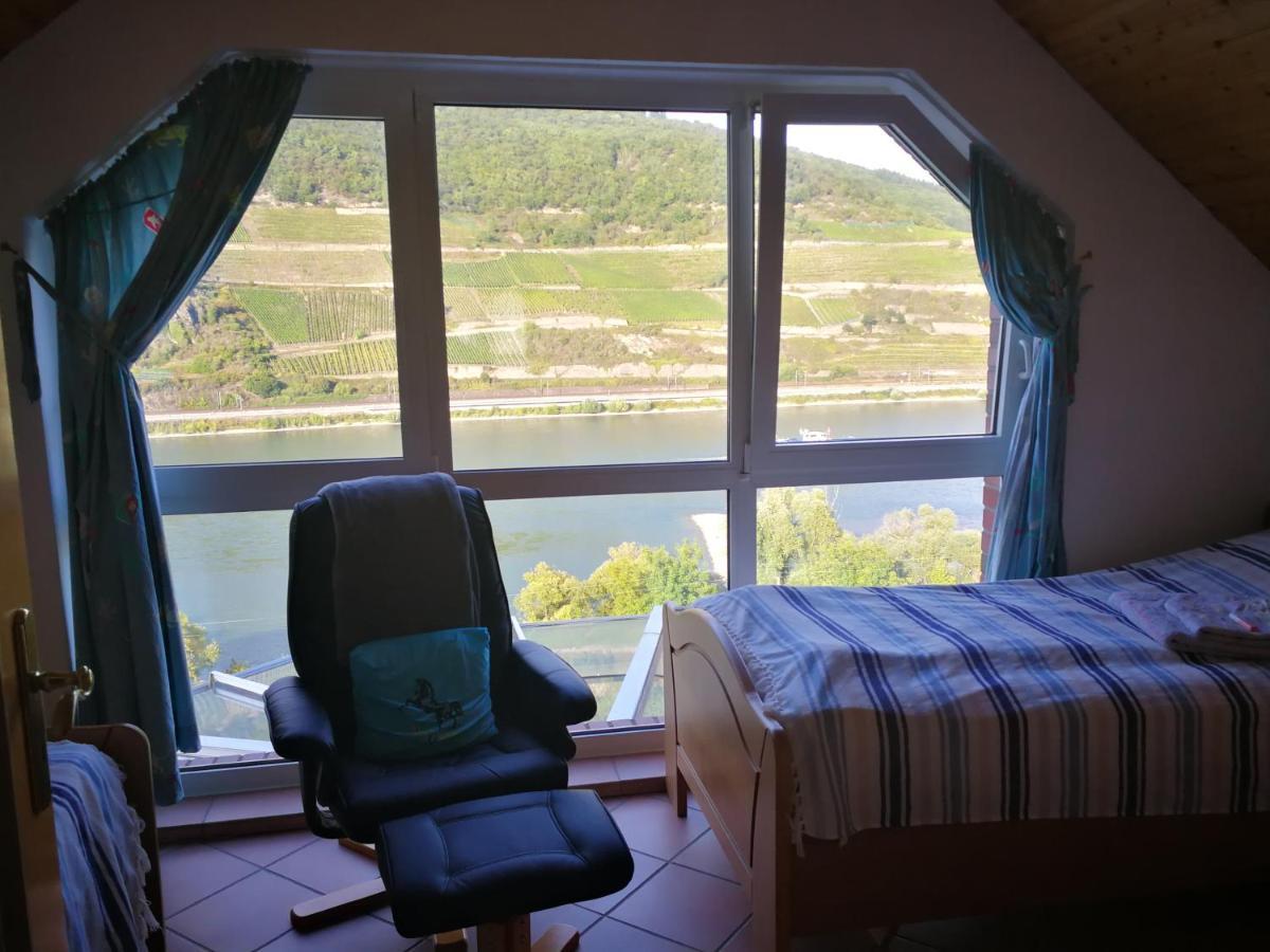 Wunderschoene Aussicht Garantiert Trechtingshausen Extérieur photo